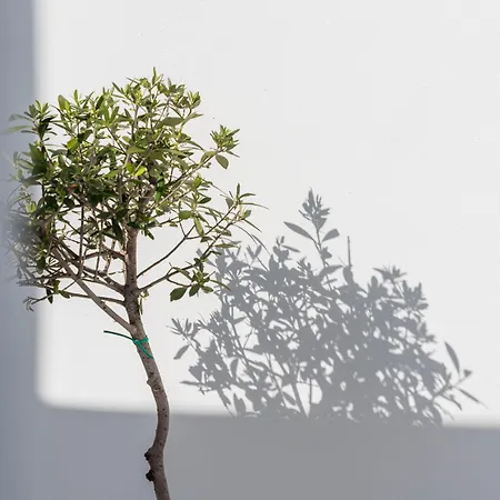 Cycladic & Fira (Santorini)