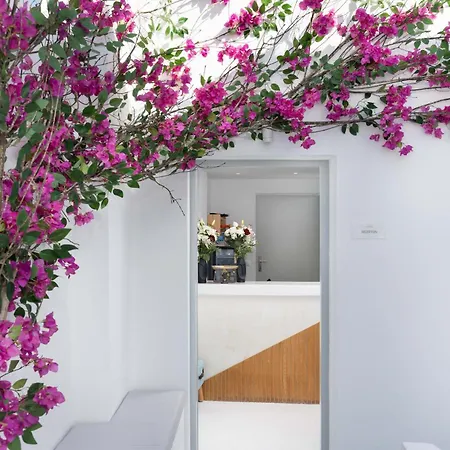 Cycladic & Hotel Fira (Santorini)